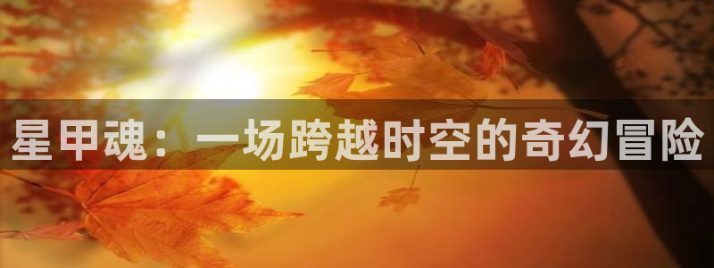 再漫画app下载安装：星甲魂：一场跨越时空的奇幻冒险